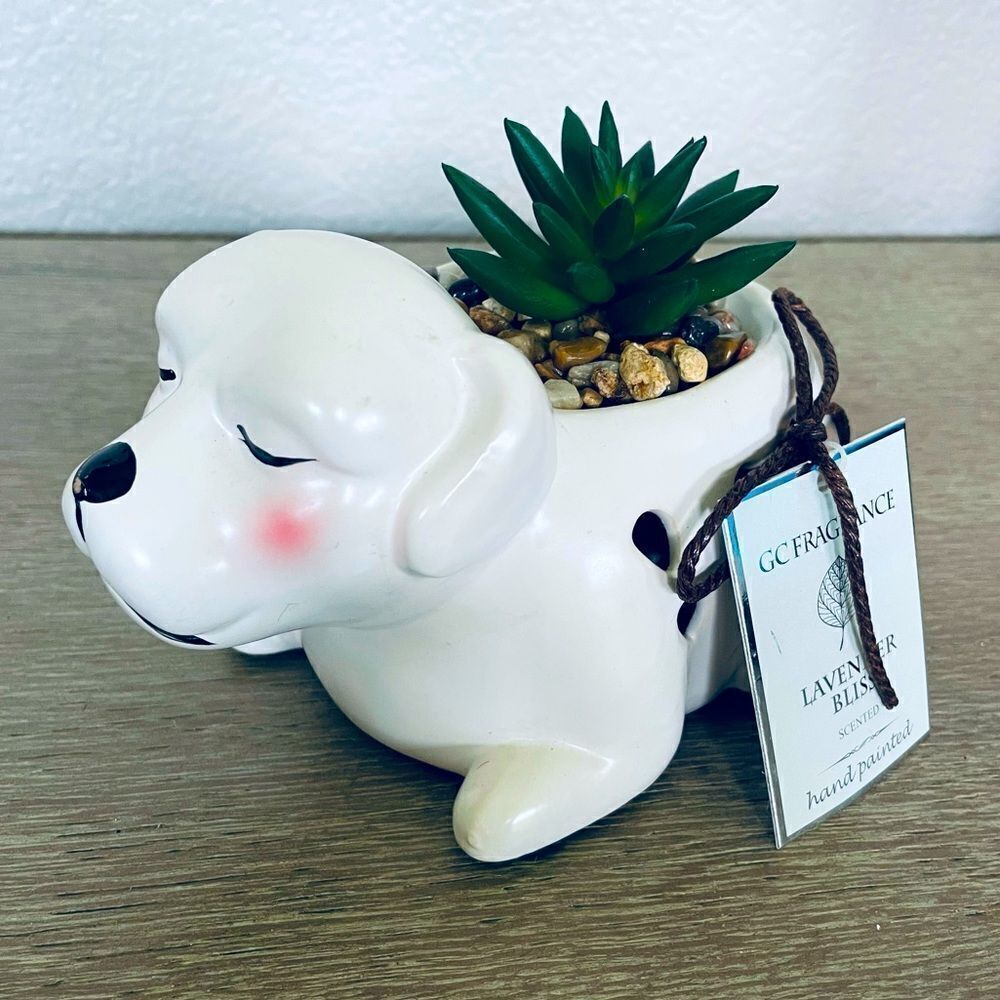 Sleeping Dog Scented Ceramic Succulent Plant Decor